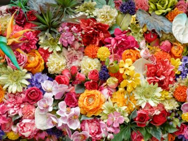 【お呼ばれ用】韓国系デザインの結婚式のパーティードレス！周りに差をつけたい女性におすすめ